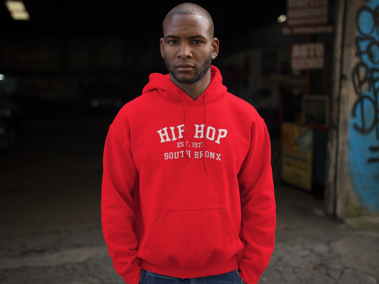 Hip Hop 1973 South Bronx(Gender Neutral) Heavy Cotton Hoodie