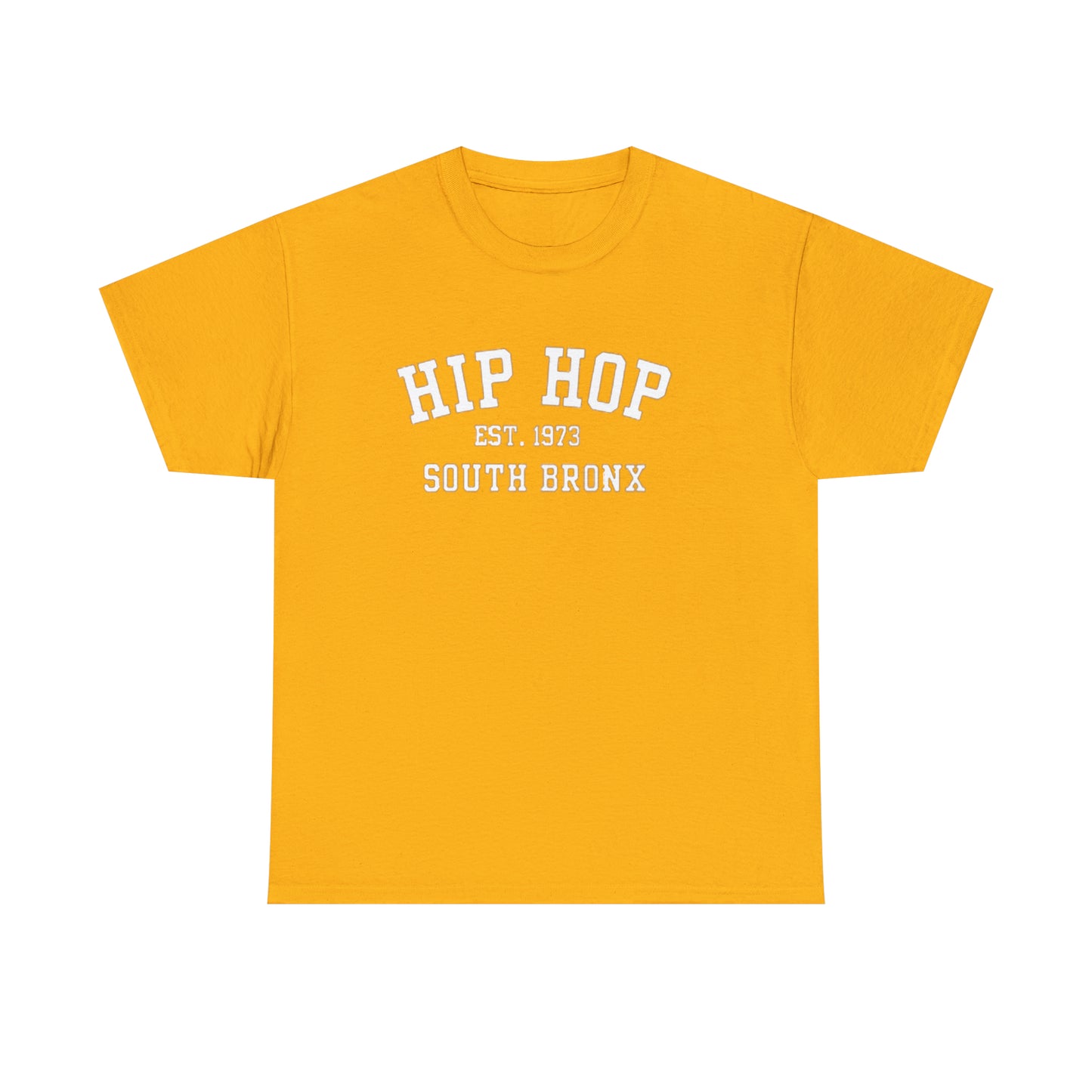 Hip Hop 1973 South Bronx(Gender Neutral) Heavy Cotton Tee