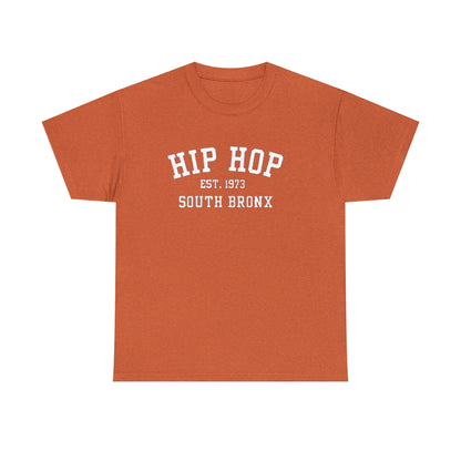 Hip Hop 1973 South Bronx(Gender Neutral) Heavy Cotton Tee