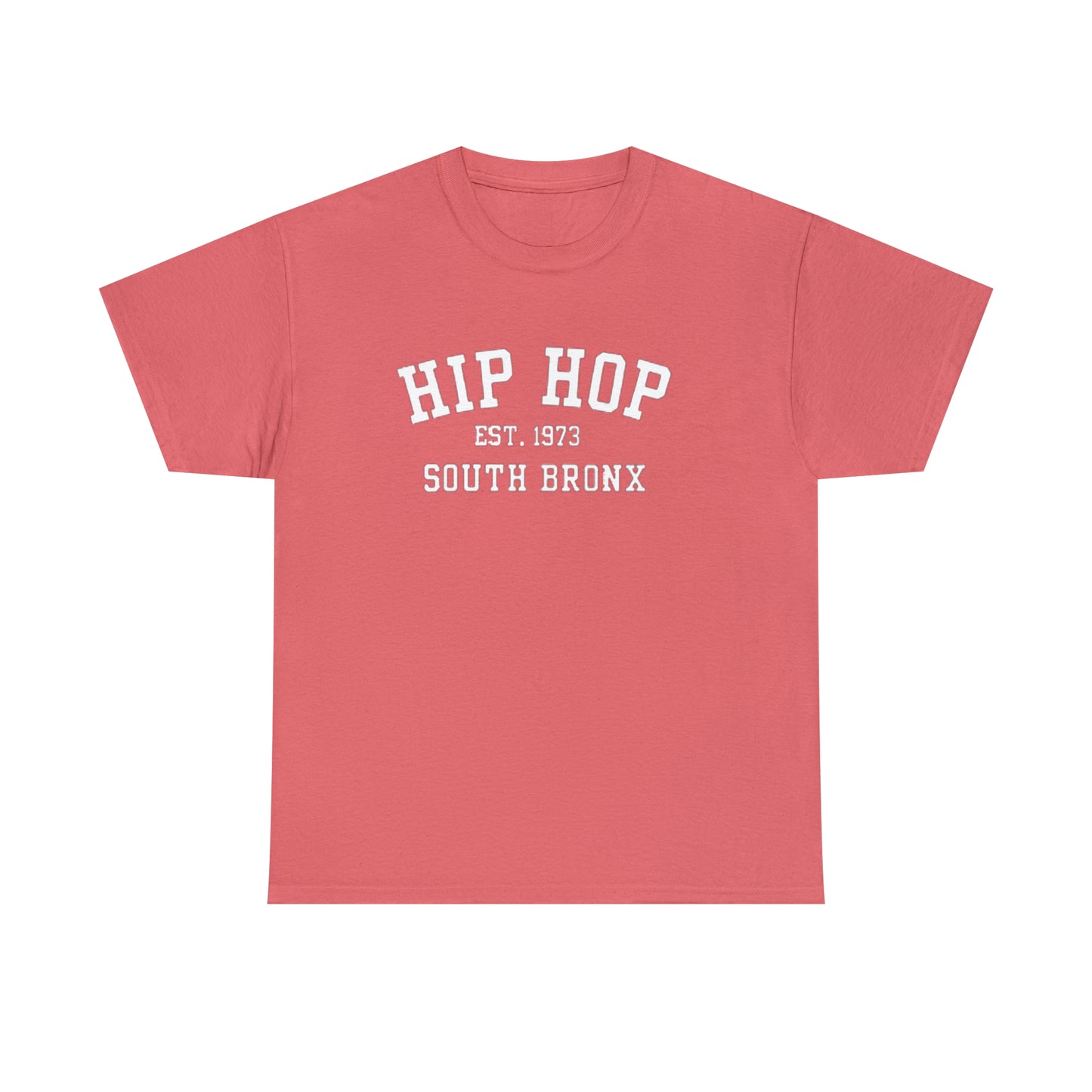 Hip Hop 1973 South Bronx(Gender Neutral) Heavy Cotton Tee